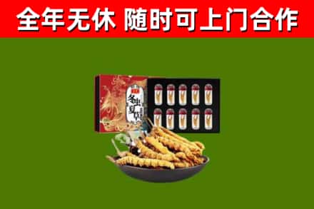 武城县回收冬虫夏草价格
