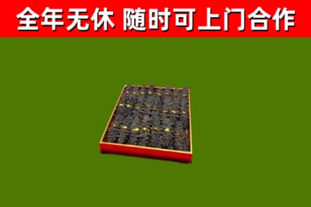 武城县回收海参